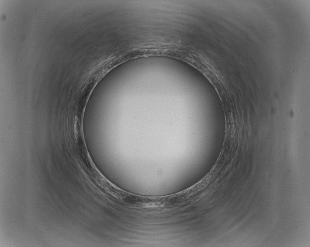 X0000085790692200703160934
