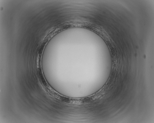 X0000085790694200703160934