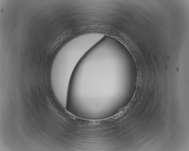 X0000085790696200703160934