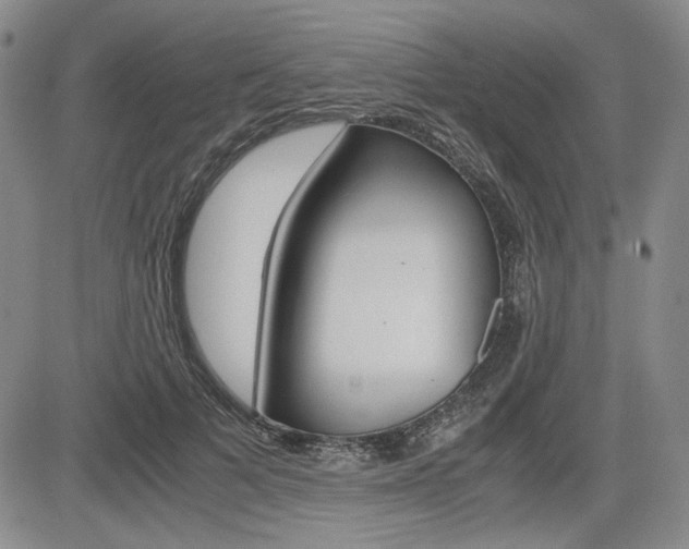 X0000085790697200703160934