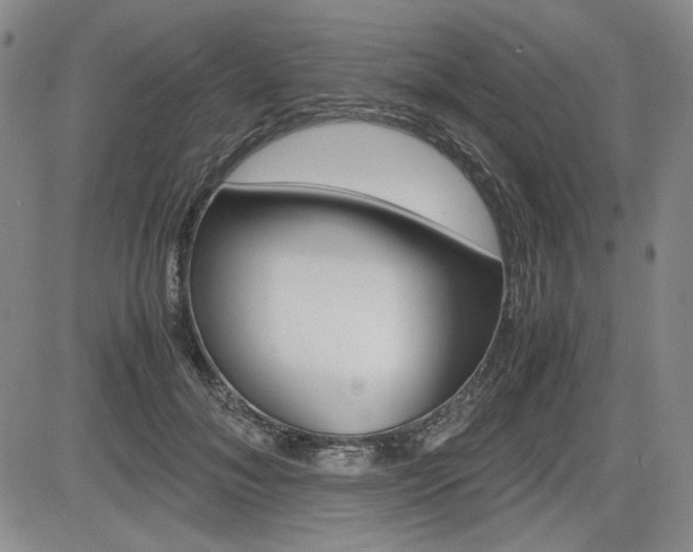 X0000085790700200703160934