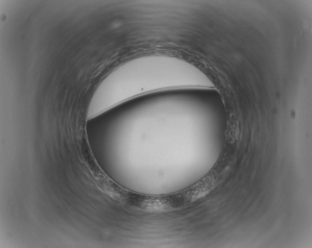 X0000085790704200703160934