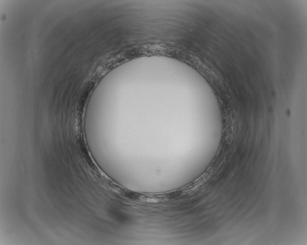 X0000085790706200703160934