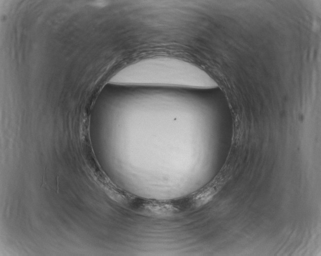 X0000085790712200703160934