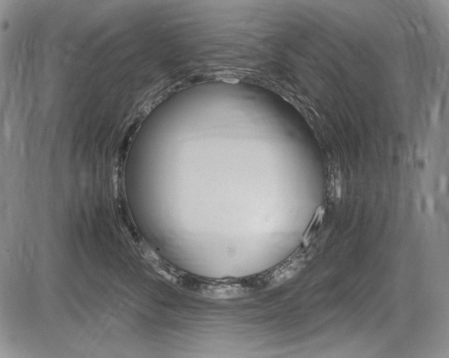 X0000085790716200703160934