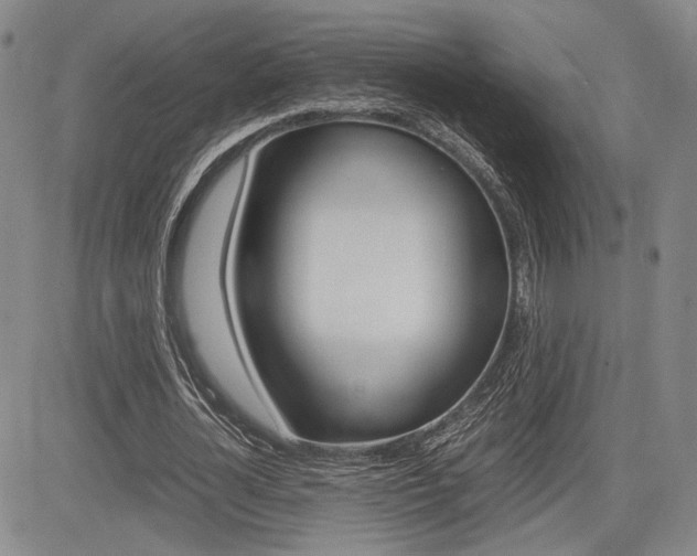 X0000085790724200703160933