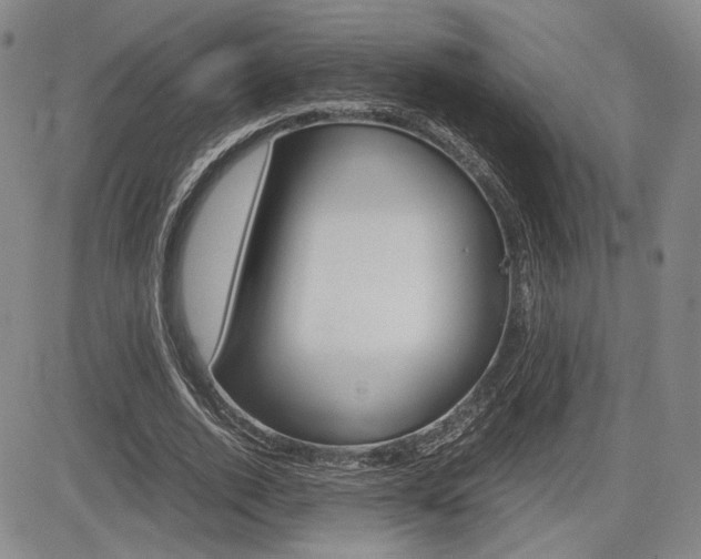 X0000085790728200703160933