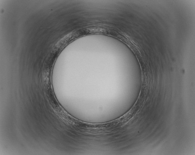X0000085790737200703160933