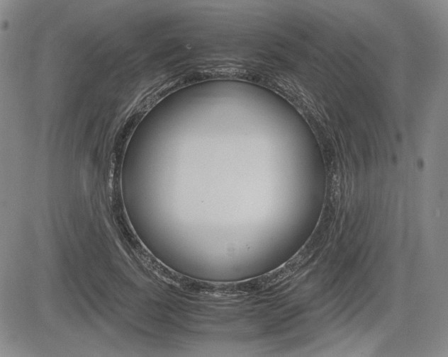 X0000085790739200703160933
