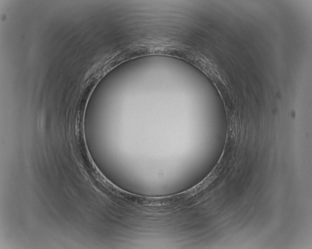 X0000085790740200703160933