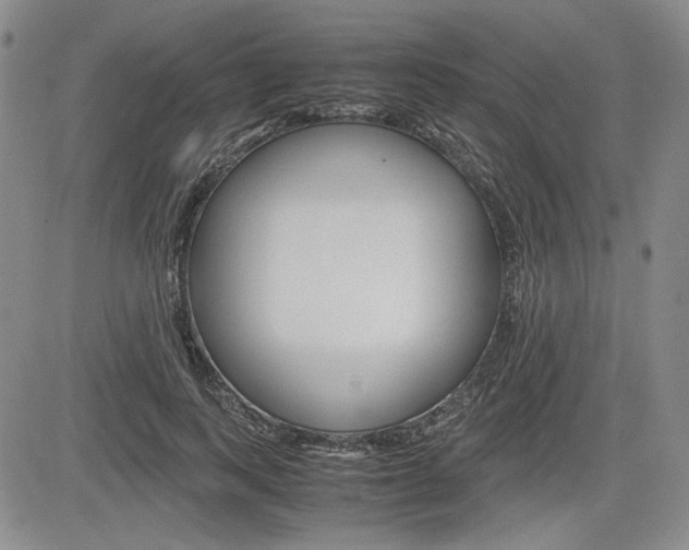 X0000085790743200703160933