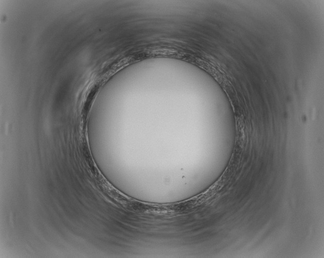 X0000085790745200703160933