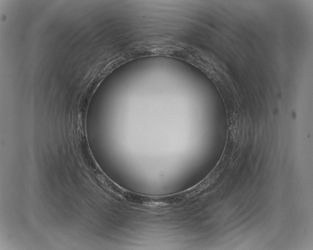 X0000085790748200703160933
