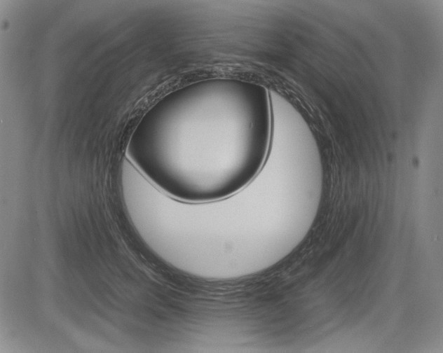 X0000085790750200703160933