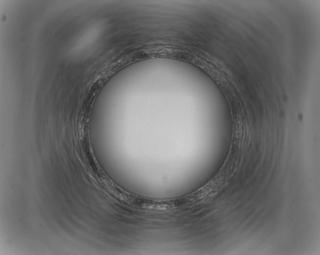 X0000085790751200703160933