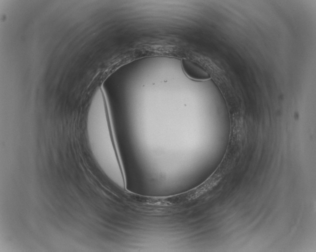 X0000085790752200703160933