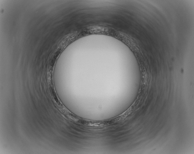 X0000085790753200703160933