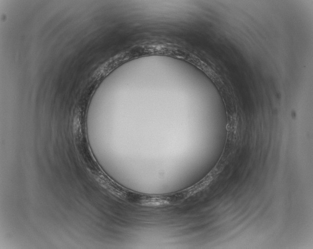 X0000085790754200703160933