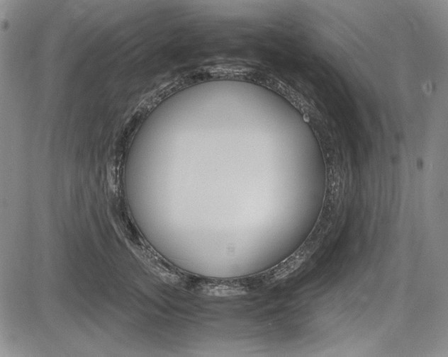 X0000085790755200703160933