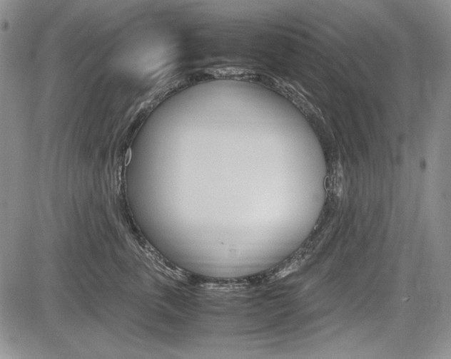 X0000085790763200703160933