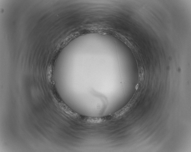 X0000085790767200703160933