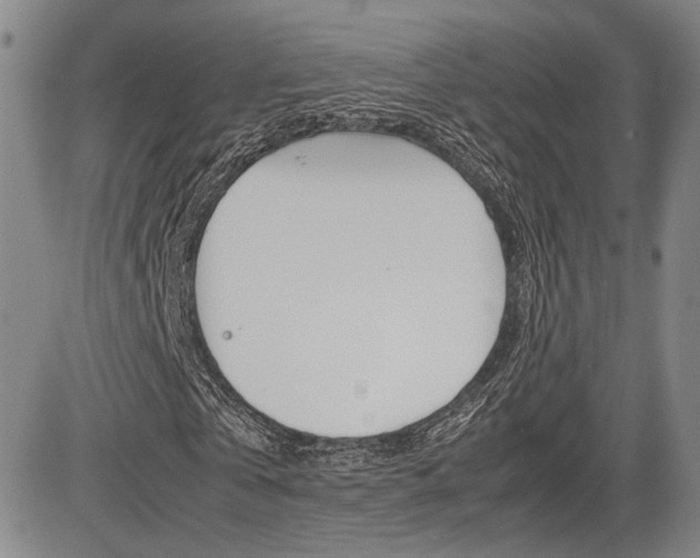 X0000085790769200703160933