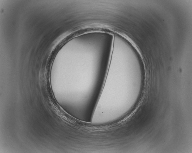 X0000085790783200703160932