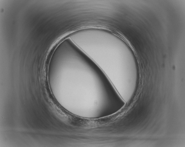 X0000085790787200703160932