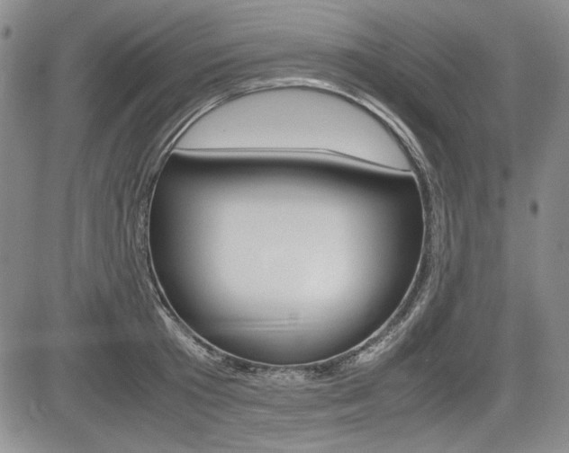 X0000085790801200703160932