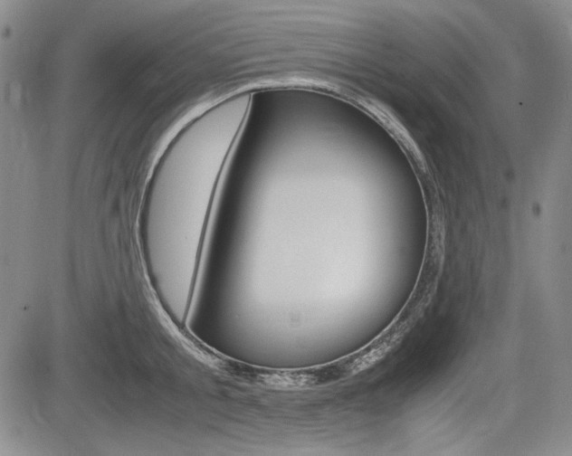X0000085790805200703160932