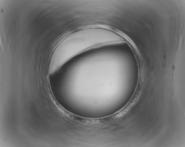 X0000085790809200703160932