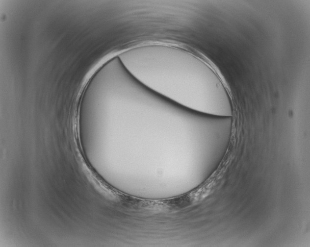 X0000085790811200703160932