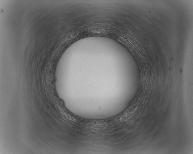X0000085790817200703160931