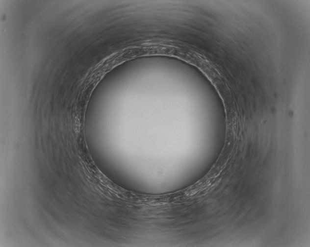 X0000085790821200703160931