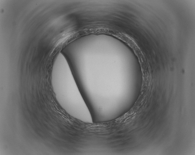 X0000085790823200703160931