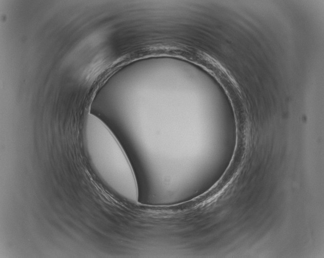 X0000085790825200703160931