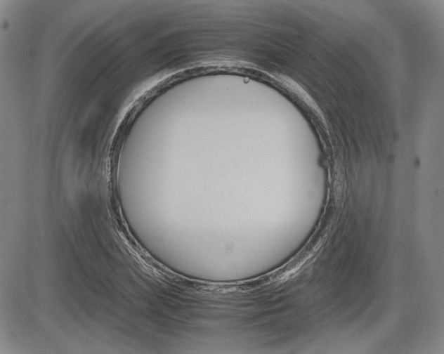 X0000085790831200703160931