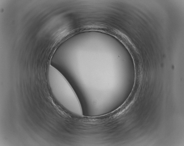 X0000085790833200703160931