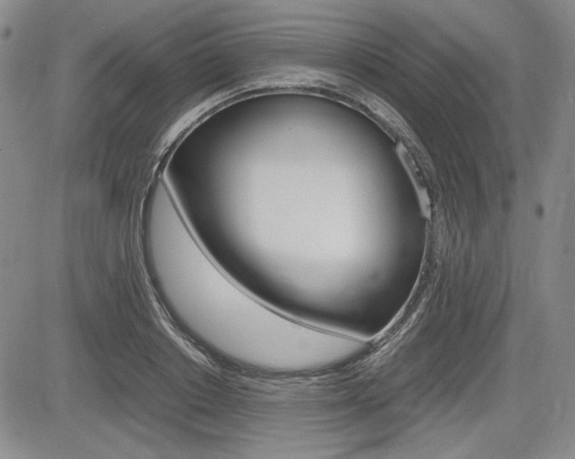 X0000085790842200703160931