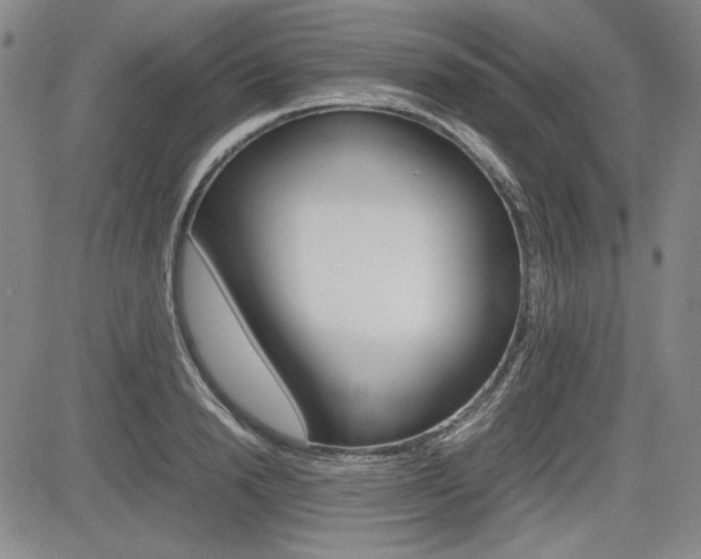 X0000085790846200703160932