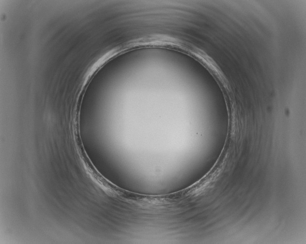 X0000085790850200703160932