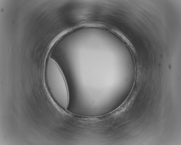 X0000085790853200703160932