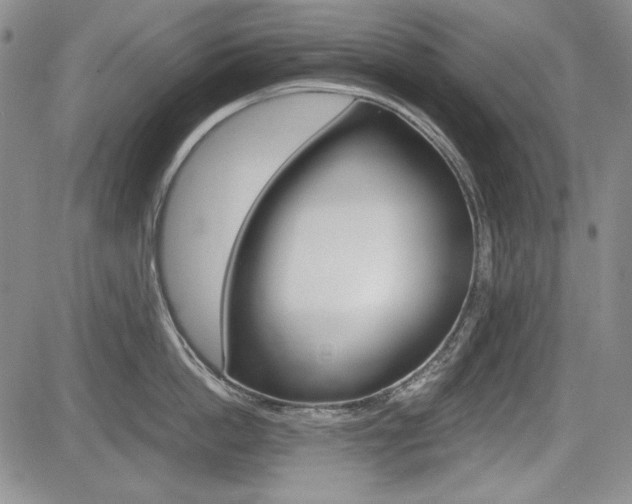 X0000085790862200703160932