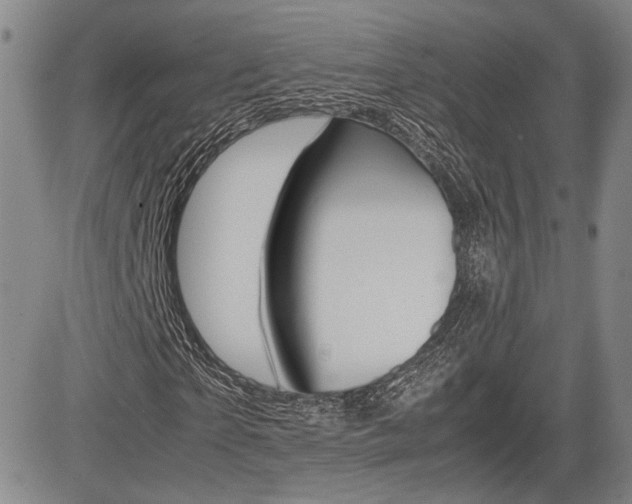 X0000085790865200703160931