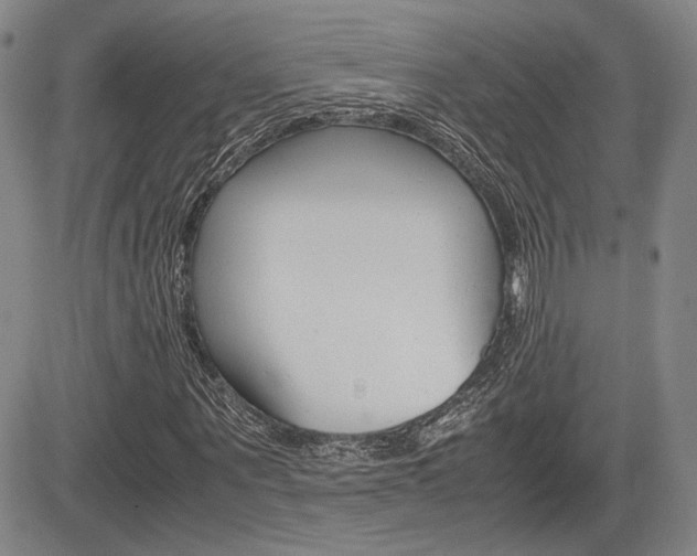 X0000085790867200703160931