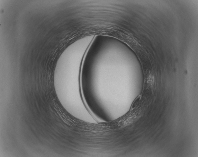 X0000085790868200703160931