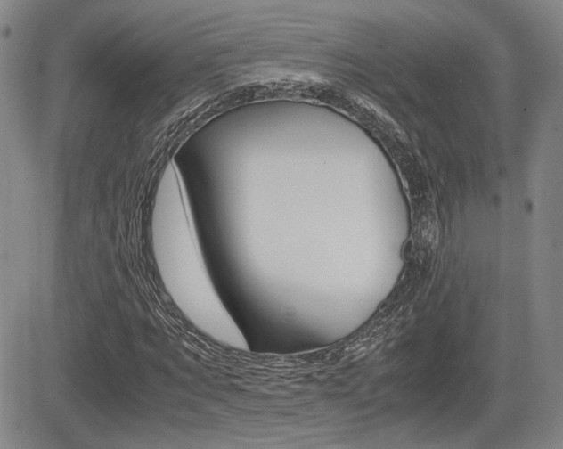 X0000085790869200703160931