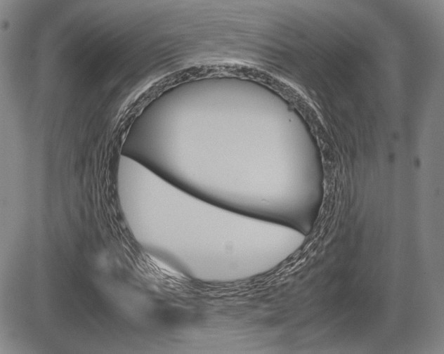 X0000085790871200703160931