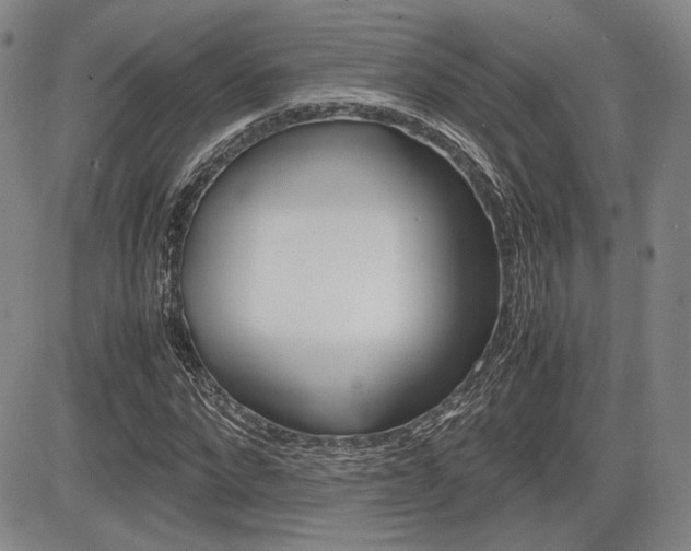 X0000085790872200703160931