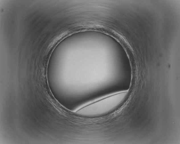 X0000085790881200703160931